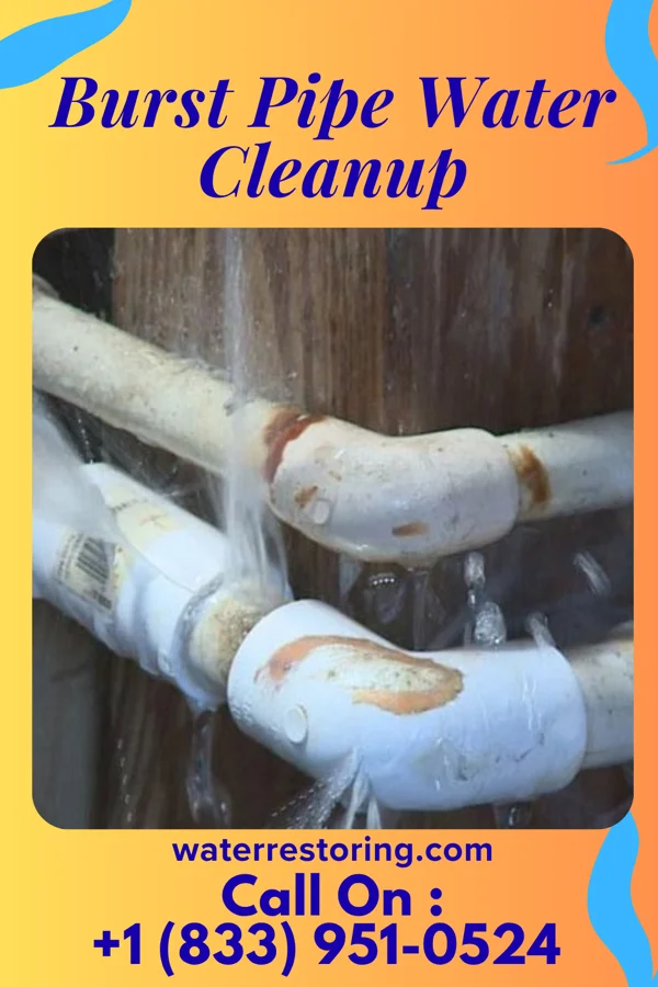 Burst Pipe Water Cleanup in Fernville, PA