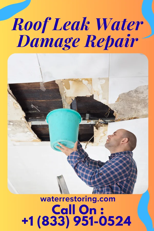 Roof Leak Water Damage Repair in Fernville, PA