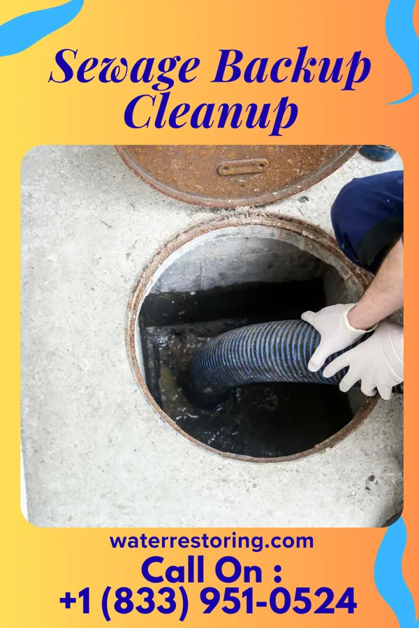 Sewage Backup Cleanup in Fernville, PA