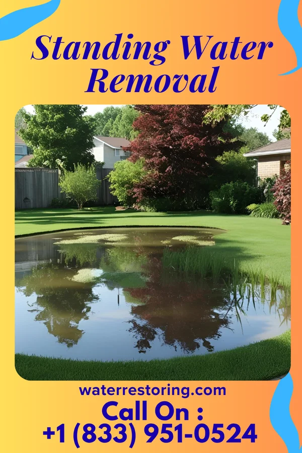 Standing Water Removal in Fernville, PA